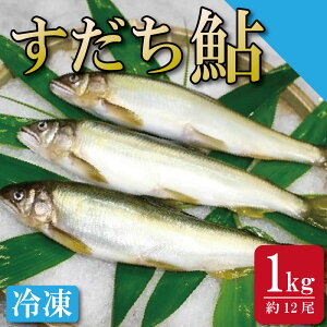 yӂ邳Ɣ[Łz   1kg  Ⓚ ʏ` Ă ØI    ƈꏏ Ȃ   ɕȂ  싛 k BBQ  ܂ {B 