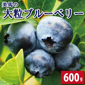yӂ邳Ɣ[Łz u[x[ 嗱 600g 100g × 6pbN 67܂Ŕ ʕ t[c fU[g { VN G  lC P[L  Mtg v[g  蕨 ƒp Ԍ 