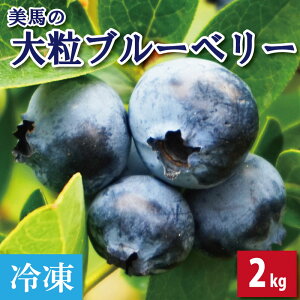 yӂ邳Ɣ[Łz u[x[ 嗱 2kg Ⓚ ʕ t[c fU[g { VN G  lC P[L  Mtg v[g  蕨 ƒp Ԍ  n 