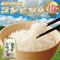 楽天市場】お米 10kg 徳島の通販