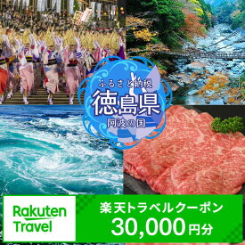 【ふるさと納税】 徳島県の対象施設で使える楽天トラベルクーポン 30,000円分 徳島県 徳島 すだち 大野 海苔 のり お土産 米 徳島ラーメン ラーメン 道の駅 観光 ホテル 美術館 名物 温泉 グルメ 徳島ヴォルティス フィッシュカツ 半田そうめん 阿波踊り お菓子 日本酒 藍染
