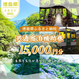 【ふるさと納税】 徳島県 宿泊券 15,000円分 徳島県 徳島 トラベル トラベルクーポン すだち 大野 海苔 のり お土産 米 徳島ラーメン ラーメン 道の駅 観光 ホテル 美術館 名物 温泉 グルメ 徳島ヴォルティス フィッシュカツ 半田そうめん 阿波踊り お菓子 日本酒 藍染