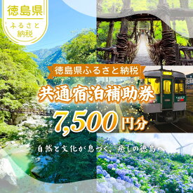 【ふるさと納税】 徳島県 宿泊券 7,500円分 徳島県 徳島 トラベル トラベルクーポン すだち 大野 海苔 のり お土産 米 徳島ラーメン ラーメン 道の駅 観光 ホテル 美術館 名物 温泉 グルメ 徳島ヴォルティス フィッシュカツ 半田そうめん 阿波踊り お菓子 日本酒 藍染