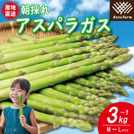 【ふるさと納税】 アスパラガス 選べる サイズ 容量 M L 1kg～3kg 《3月から出荷開始！》 アスパラ 朝採れ 弁当 野菜 グリーンアスパラ サラダ ベーコン 豚肉 巻き 甘い 国産 春野菜 新鮮 せいくらべ 徳島 阿南