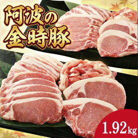 【ふるさと納税】 豚肉 セット 4種 選べる 960gから1.92kg 金時豚 阿波の金時豚 豚ロース 豚バラ 焼肉 焼き肉 切り落とし とんかつ しゃぶしゃぶ 冷凍 小分け 国産 ブランド 生姜焼き 野菜炒め 豚汁 豚丼 徳島 阿波
