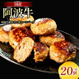 【ふるさと納税】 阿波牛 入り ハンバーグ 6個 10個 20個 1個 150g 冷凍 牛肉 合い挽き 国産 ハンバーグ ギフト 阿波牛ハンバーグ 牛肉 和牛 黒毛和牛 贈答 ブランド 贈り物 大人気 ジューシー はんばーぐ 好評 徳島 阿南