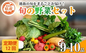 【ふるさと納税】 野菜 セット 4品 単品 定期便 4〜12回 季節 旬 野菜 詰め合せ 国産 季節 旬 おまかせ 産地直送 春野菜 夏野菜 秋野菜 葉物 果物 果菜 根菜 冷蔵 野菜室 ダイエット 食 栄養食