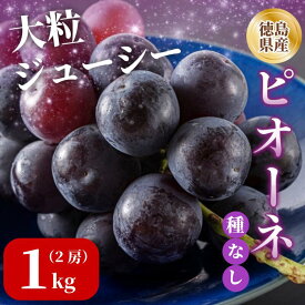 【ふるさと納税】 ピオーネ 2房 1kg 7月上旬以降順次発送 ブドウ 葡萄 ピオーネ 新鮮 甘い 美味しい ジューシー 産地直送 ぶどう 種無し 国産 徳島県 【7月上旬から8月中旬まで発送】