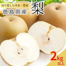 【ふるさと納税】 【8月上旬から9月上旬まで発送】 梨 2kg～5kg 豊水 幸水 容量 選べる フルーツ 果物 なし 食べ比べ 旬 国産 厳選 徳島県