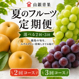 【ふるさと納税】 フルーツ 定期便 2～3回 フルーツ定期便 果物 季節 旬 詰め合せ 国産 おまかせ 産地直送 シャインマスカット ピオーネ 梨 徳島県 徳島 山銀青果