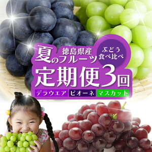 yӂ邳Ɣ[Łz t[c  S3 VC}XJbg sI[l fEGA Ԃǂ  Mtg ʕ  Y Yn VN Hה 3