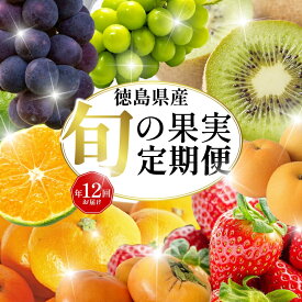 【ふるさと納税】 旬の果実 定期便 12回 フルーツ 果物 野菜 季節 旬 詰め合せ 国産 おまかせ 産地直送 シャインマスカット いちご みかん キウイ 不知火 トマト ピオーネ 梨 柿 徳島県