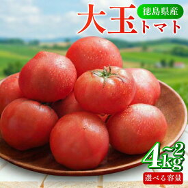 【ふるさと納税】 トマト 2kg 大玉 とまと 4月～6月発送 野菜 やさい 国産 産地直送 数量限定 旬 徳島県産 tomato サラダ おすすめ 徳島県 5000 5000円 5000円以内