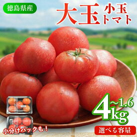 【ふるさと納税】 トマト 1.6kg ～ 4kg 選べる 容量 小玉 大玉 とまと 4月～6月発送 野菜 やさい 国産 産地直送 数量限定 旬 徳島県産 tomato サラダ おすすめ 徳島県