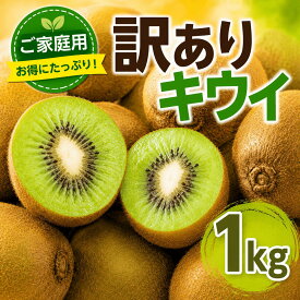【ふるさと納税】 訳あり キウイフルーツ 1～3kg きうい キウイ フルーツ 果物 くだもの ヨーグルト ケーキ トッピング 朝食 オススメ お取り寄せ 人気 おすすめ 徳島県 送料無料 徳島青果