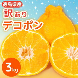 【ふるさと納税】 デコポン 訳あり 3kg 柑橘 フルーツ 旬 でこぽん 濃厚 甘い 厳選 国産 徳島県 【2月上旬より順次発送】