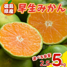 【ふるさと納税】 みかん 早生みかん 2.5kg ～ 5kg 選べる 容量 傷み補償付き200g 早生 柑橘 フルーツ 果物 みかん ミカン みかん 蜜柑 早採り オレンジ 1万円未満 徳島県 勝浦町 徳島市 八多町