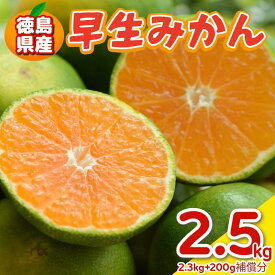 【ふるさと納税】 みかん 早生みかん 2.5kg ～ 5kg 選べる 容量 傷み補償付き200g 早生 柑橘 フルーツ 果物 みかん ミカン みかん 蜜柑 早採り オレンジ 1万円未満 徳島県 勝浦町 徳島市 八多町