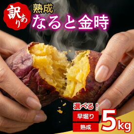 【ふるさと納税】 訳あり なると金時 5kg 選べる 早掘り 熟成 さつまいも 鳴門金時 いも 芋 焼き芋 干し芋 スイーツ 貯蔵庫 熟成いも 国産 お土産 徳島 鳴門