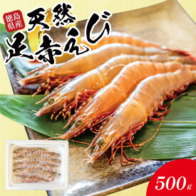 【ふるさと納税】 えび 足赤海老 500g～3kg （約9尾～80尾） 海老 天然 えび あしあかえび 冷凍 鮮度そのまま 海老 刺身 甘い エビフライ 塩焼き 殻付き プリプリ ebi エビ 天然えび 徳島