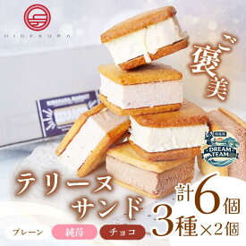 【ふるさと納税】 テリーヌサンド フロマージュ 6個 各種2個 プレーン いちご チョコレート 純苺 和三盆 個包装 日出蔵 おやつ セット 詰合せ 詰め合わせ 3種類 洋菓子 焼菓子 お菓子 冷凍 徳島県 ドリームチーム