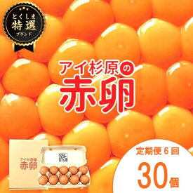 【ふるさと納税】 卵 赤卵 20個 から 60個 (割れ保証含む) 定期便 も 選べる 常温便 たまご アイ杉原 国産 大人気 玉子焼き 卵焼き 卵かけご飯 米 ご飯 ゆで卵 すき焼き 鳥 鶏 鶏卵 卵黄 うなぎ う巻き 生卵 産地直送 健康 ギフトお歳暮 お中元 アイ杉原の赤卵 徳島