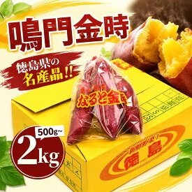 【ふるさと納税】 さつまいも なると金時 甘藷 選べる 500g 1kg 2kg Sサイズ ~ 2Sサイズ サツマイモ さつま芋 鳴門金時 金時 ホクホク 焼き芋 天ぷら 大学芋 スイートポテト おやつ かんしょ 純国産 徳島県