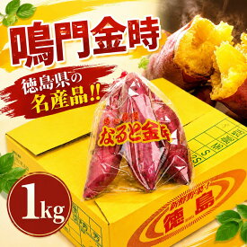 【ふるさと納税】 さつまいも なると金時 甘藷 選べる 500g 1kg 2kg Sサイズ ~ 2Sサイズ サツマイモ さつま芋 鳴門金時 金時 ホクホク 焼き芋 天ぷら 大学芋 スイートポテト おやつ かんしょ 純国産 徳島県