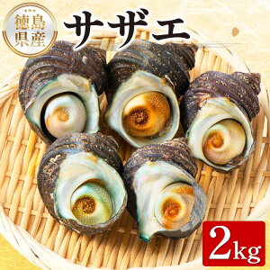 �y�ӂ邳�Ɣ[�Łz �T�U�G �I�ׂ� �e�� 1kg 2kg ������ �L �L�� �h�� �N�� �C�N ���� �h�g �Ă��� �`�� ���������� ��Ă� �� ���� ������ �M�t�g ���� ���蕨 �j�� �Ε� ���� �N�� �N�n �o�[�x