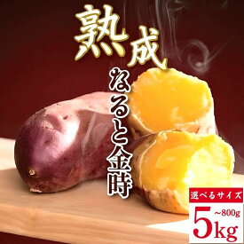 【ふるさと納税】 なると金時 800g～5kg 《どこにも無い 熟成なると金時!》 選べる サイズ 10月から5月末まで発送 野菜 さつまいも 焼き芋 芋 鳴門金時 なると金時 ヤサイ やさい 食材 新鮮 旬 産地直送 徳島 鳴門