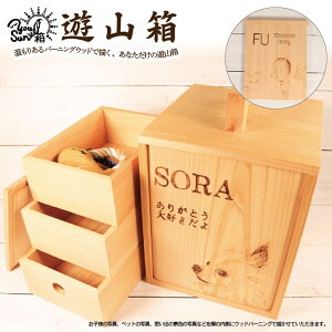 yӂ邳Ɣ[Łz VR YOU-SUN- Ebho[jO `H| ĕt ʐ^  vo Ԃ L^ LOi ybg Mtg   gs Έ䒬 AgGw[[