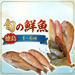 �y�ӂ邳�Ɣ[�Łz �N��BOX �I�ׂ� 2kg�ȏ� 3�`6�� �h�g �h���g �{ �C�N �N�� ���� �Ă� �ϕt�� �t�� �J���p�b�`�� ���i �� ���܂� ������ ���тɍ��� �Ăɍ��� �R���ɍ��� �ƒ�p ���̓� ���� 