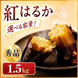 【ふるさと納税】紅はるか 1.5kg~10kg 秀品 甘三郎 ぽくぽく農園 さつまいも サツマイモ 熟成 生芋 さつま芋 やきいも 芋 イモ 野菜 長期熟成 デザート 旬 農家直送 徳島県 1.5kg 5kg 10kg