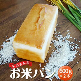【ふるさと納税】そのまんまお米パン（600g×2本） | 食品 加工食品 人気 おすすめ 送料無料 ベーカリー