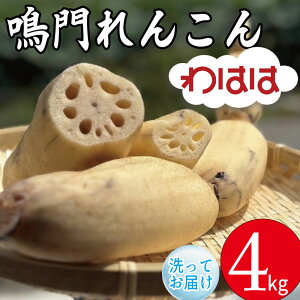 �ԗ�i�摜