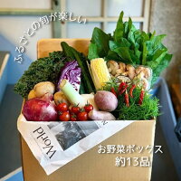 【ふるさと納税】1A023aふるさとの旬が楽しいお野菜ボックス(13品)