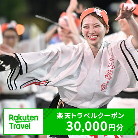 【ふるさと納税】徳島県徳島市の対象施設で使える楽天トラベルクーポン 寄付額100,000円 ホテル 旅館 宿泊予約 旅行 予約 宿泊 連泊 国内 旅行クーポン 宿泊券 旅行券 チケット 春 夏 秋 冬 ビジネス