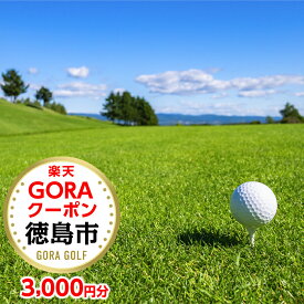 【ふるさと納税】徳島県徳島市の対象ゴルフ場で使える楽天GORAクーポン 寄付額10,000円