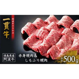 yӂ邳Ɣ[Łzы Ԑgēӂē (500g) | g Y a    ē [X uh イɂ イ ɂ r[t Ԑg lC Ⓚ  蕨  v[