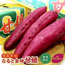 【ふるさと納税】さつまいも なると金時 甘姫 約5kg 1箱 | 野菜 やさい 食品 人気 おすすめ 送料無料 鳴門金時 芋 いも さつま芋 お取り寄せ