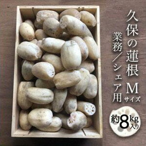yӂ邳Ɣ[Łz@ ƖEVFApuMTCYv8kg 񂱂 |  ₳ R 񂱂 @  Yn lC   