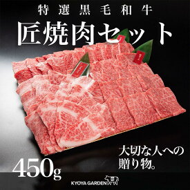【ふるさと納税】匠焼肉セット　約450g（約150g×3種類）A5等級 | 肉 お肉 にく 食品 徳島産 阿波牛 人気 おすすめ 送料無料 ギフト