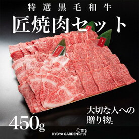 【ふるさと納税】匠焼肉セット　約450g（約150g×3種類） | 肉 お肉 にく 食品 徳島産 阿波牛 人気 おすすめ 送料無料 ギフト