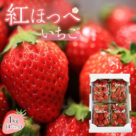 【ふるさと納税】いちご (紅ほっぺ）約250g×4パック（約1kg） | いちご 苺 果物 くだもの フルーツ スイーツ ケーキ 旬 新鮮 デザート おやつ お菓子 期間限定 数量限定 人気 おすすめ 送料無料 徳島県 徳島市