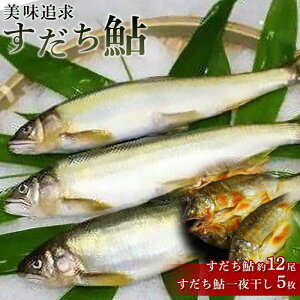 yӂ邳Ɣ[Łz (1kg)E銱 (5) Zbg Ⓚ   |     Yn VN  lC  