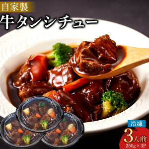 【ふるさと納税】牛タンシチュー 250g (3個セット) | 食品 おかず 加工食品 洋食 国産 徳島 人気 おすすめ 送料無料