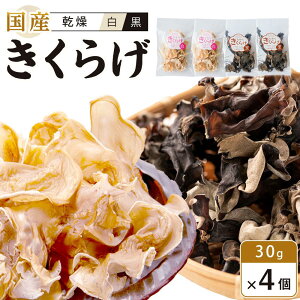 yӂ邳Ɣ[ŁzY 炰 EZbg30g×4 (v120gj | 炰 LNQ ؎ H@  N ̂ Y  ؗ