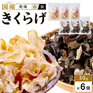 yӂ邳Ɣ[ŁzY 炰 EZbg30g×6 iv180gj | 炰 LNQ ؎ H@  N ̂ Y  ؗ