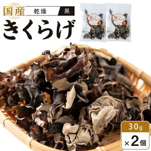 yӂ邳Ɣ[ŁzY 炰 @30g×2 (v60g) | 炰 LNQ ؎ H@  N ̂ Y  ؗ