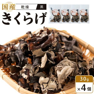 yӂ邳Ɣ[ŁzY 炰  30g×4 (v120g)@ | 炰 LNQ ؎ H@  N ̂ Y  ؗ